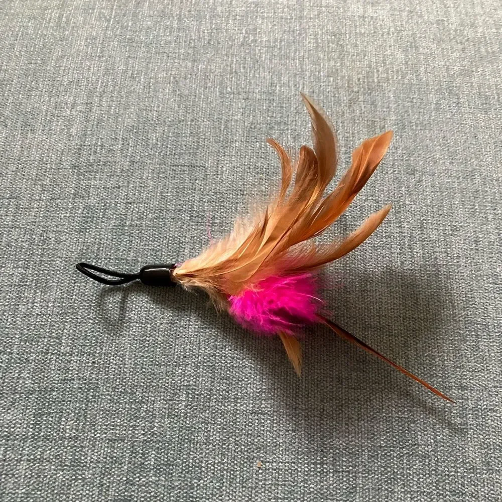 New Cat Toy